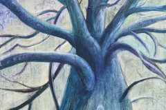 13 Baum-Krone 80x100